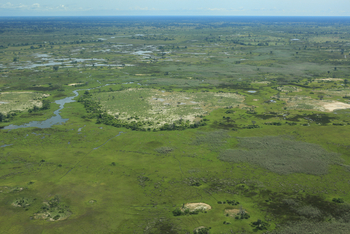 Duba Plains Camp: Die Ebenen im Norden des Okavango-Deltas