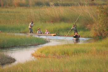 Gunn's Camp: Motoro-Exkursion