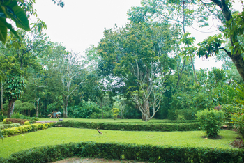 Kibale Forest Camp: Garten