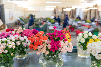 Loldia House: Rosensträuße