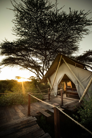 Mara Nyika Camp: Gästezelt