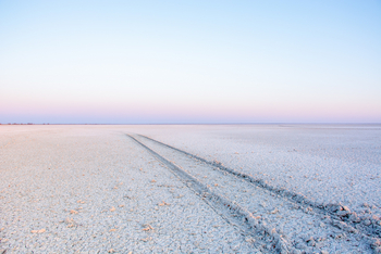 Nata Lodge Nata Lodge: Spur durch eine Salzpfanne