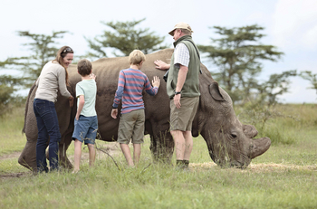 Ol Pejeta Bush Camp: Streicheln eines Nashorns