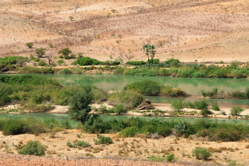 Sanctuary Okahirongo River Camp Sanctuary Okahirongo River Camp: No Title