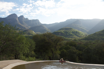 Sarara Tree: Mathews Mountain