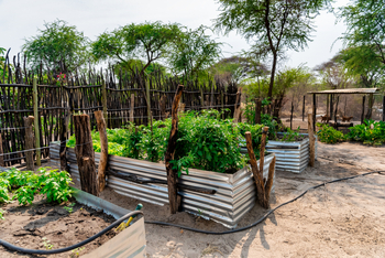 Semowi Nature Camp: Gemüsegarten