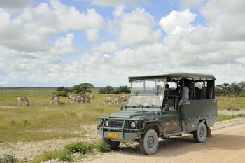 Taleni Etosha Village: Game Drive