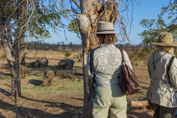 Toka Leya Camp Toka Leya Camp: Nashornherde
