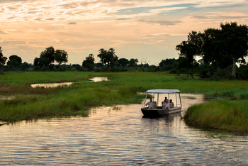 Xigera Safari Lodge Xigera Safari Lodge: Ausflug im Motorboot