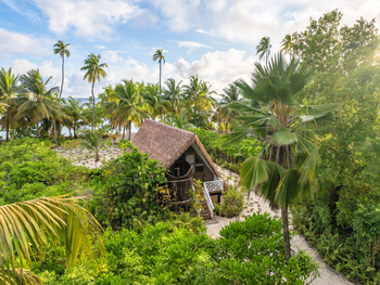 Alphonse Island Lodge: Beach Bungalow
