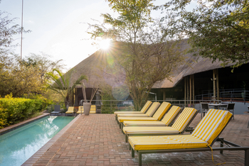 Chobe Bush Lodge Chobe Bush Lodge: Liegestühle