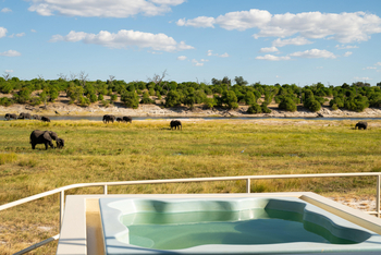 Chobe Princess: Plunge Pool mit Blick