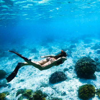 Fundu Lagoon: Tauchen