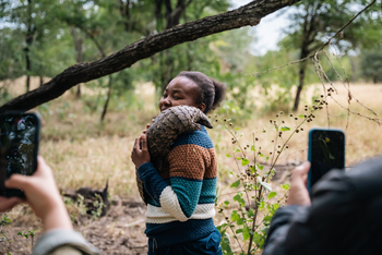 Gorongosa Safaris: Fotoaufnahme Gast mit Schuppentier
