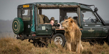 Kicheche Bush Camp: Photographic Behicle mit Löwe