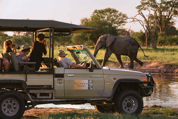 Mogotlho Safari Lodge Mogotlho Safari Lodge: Game Drive