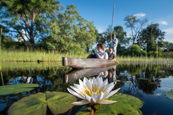 Pelo Camp: Mokoro und Seerose