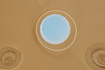 Reverie Kalahari Pod: Skylight