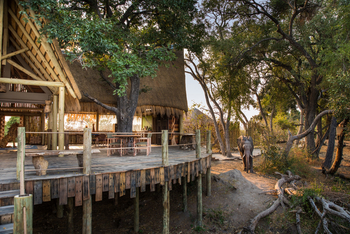 Sitatunga Private Island Camp: Elefant auf Pfad