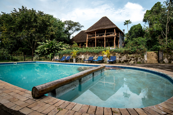 Turaco Treetops: Liegestühle am Pool