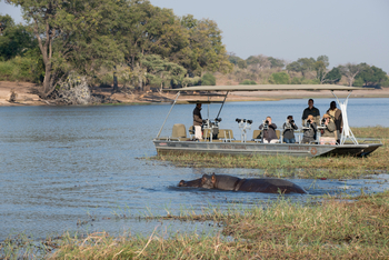 andBeyond Sandibe Okavango Safari Lodge: Hippo