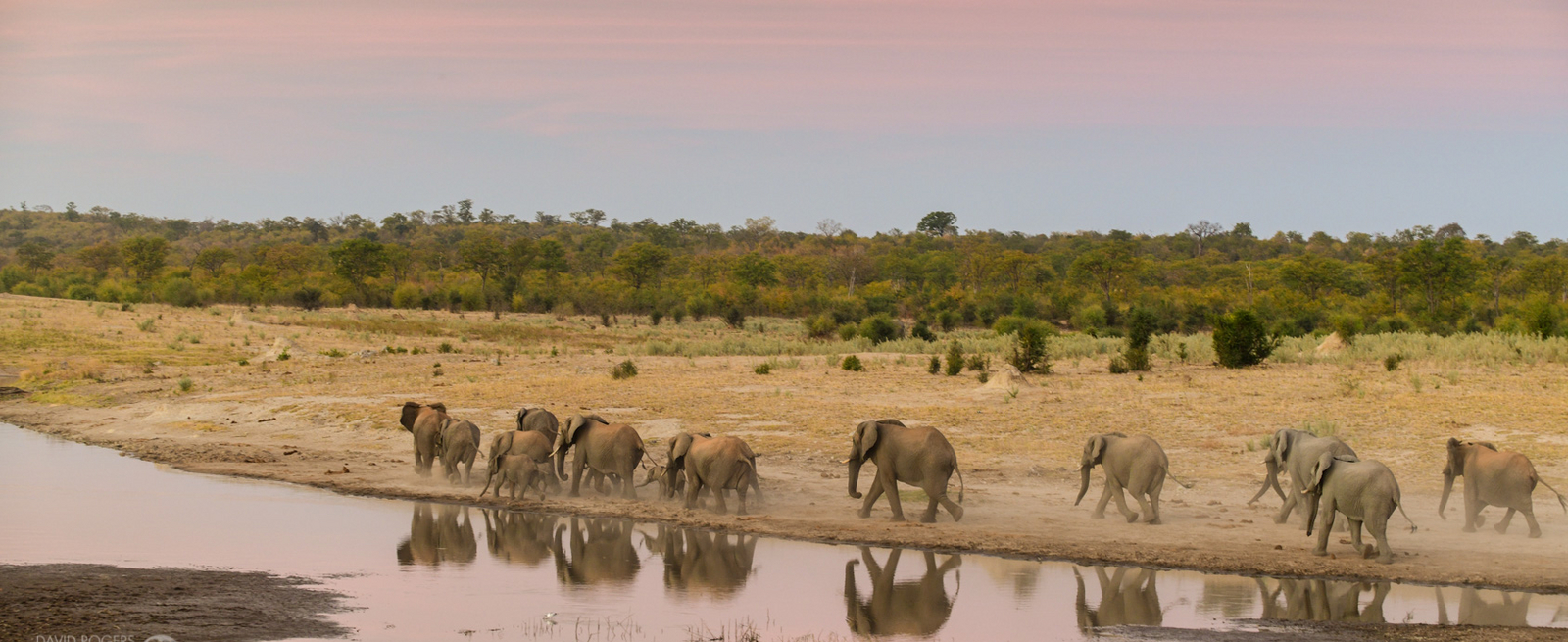 Deteema Springs Camp Deteema Springs Camp: Elefanten am Damm