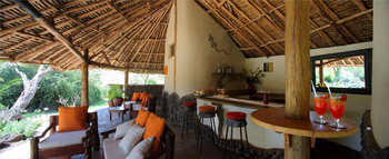 Elewana Tortilis Camp: Pool Bar