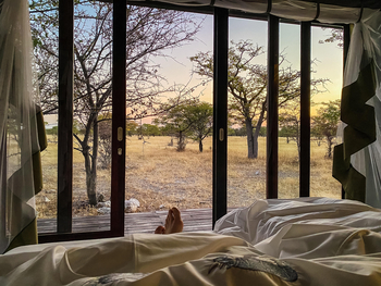 Etosha Oberland Lodge Etosha Oberland Lodge: Blick aus dem Bett