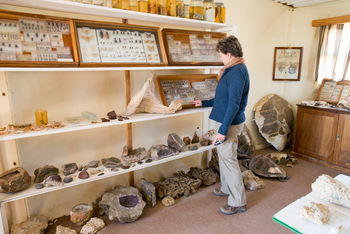 Hoanib Skeleton Coast Camp: Ausstellungsgegenstände des Museums