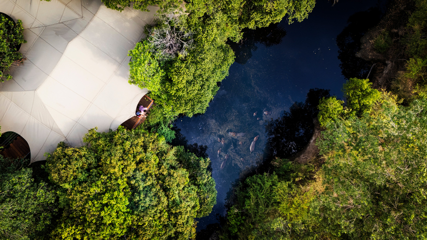 Mara Toto Tree Camp