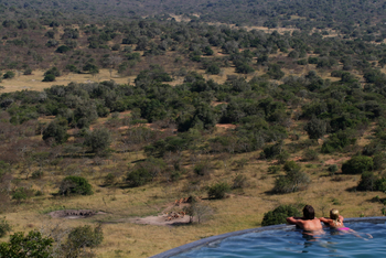Mihingo Lodge: Blick zum Wasserloch