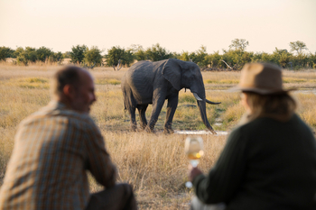 Muddy Teak Camp: Elefant vor dem Camp