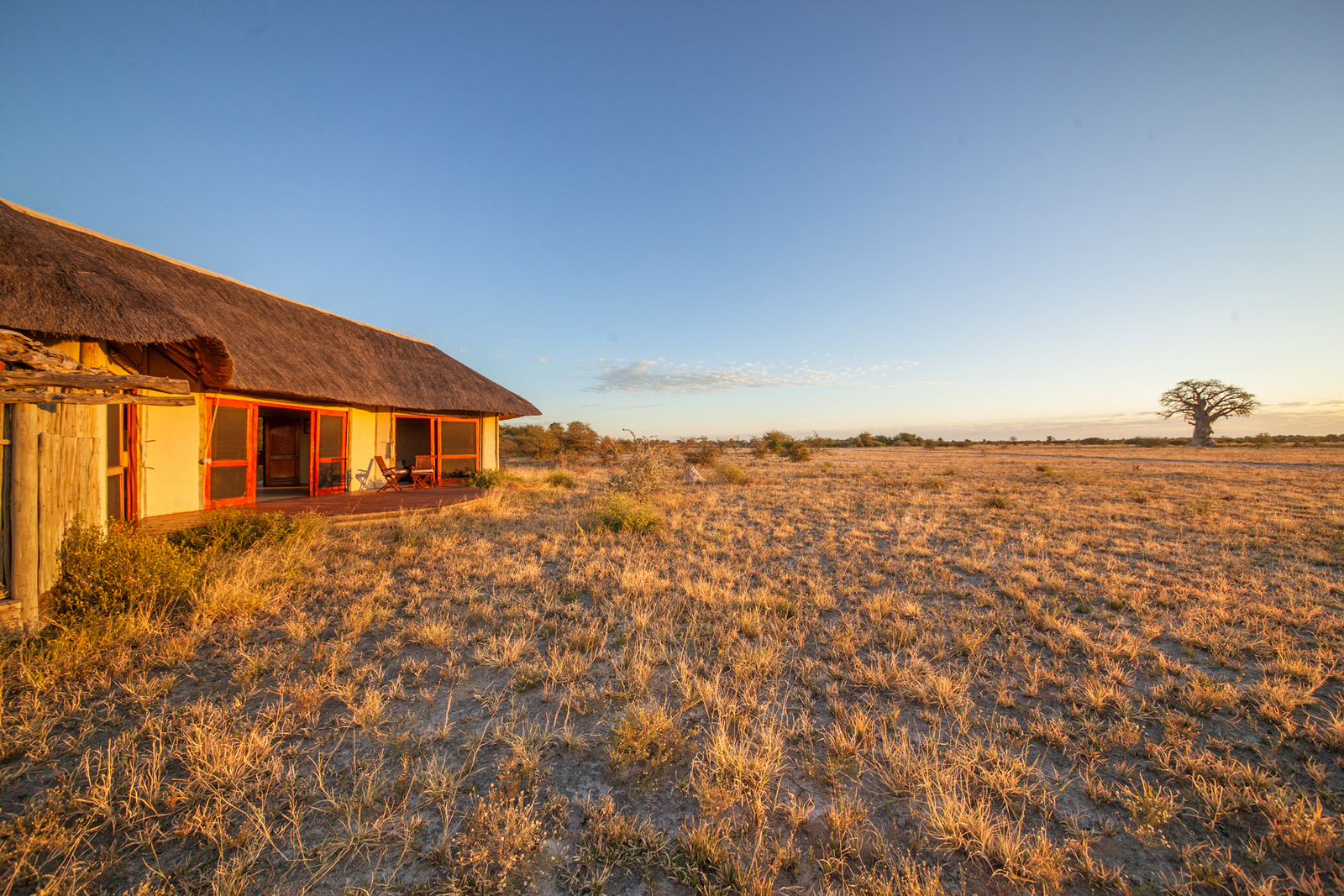 Nxai Pan Camp Nxai Pan Camp: Chalet und ferner Baobab
