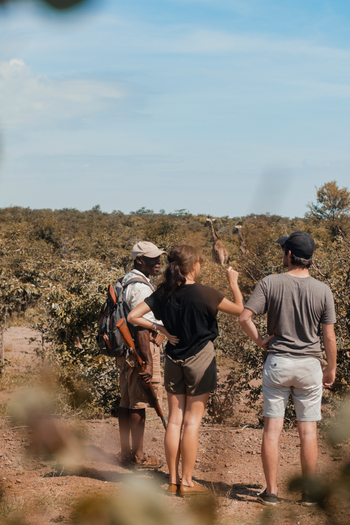 Old Drift Lodge: Walking Safari