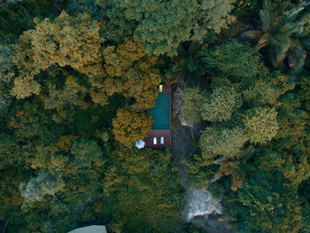 Rhino River Camp: Pool im Wald