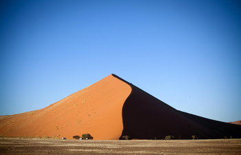 Sossusvlei Lodge: Dune 45