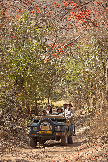 Sujan Sher Bagh: Pirschfahrt