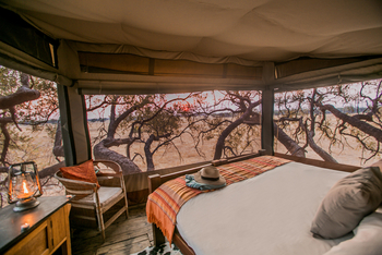 The Hide: Dove's Nest Treehouse
