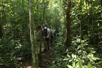 Buhoma Lodge: Tracking-Gäste