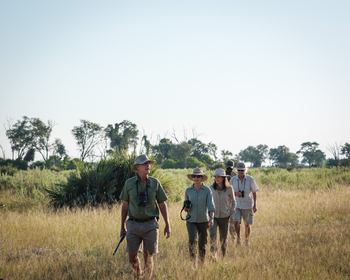 Cha Cha Metsi Camp: Walking Safari