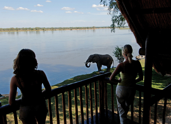 Chiawa Camp: Elefant vor dem Camp