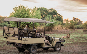 Kafunta River Lodge: Löwe