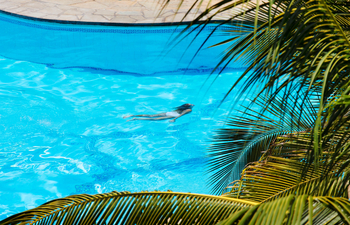 Kinondo Kwetu Kinondo Kwetu: Palme am Pool