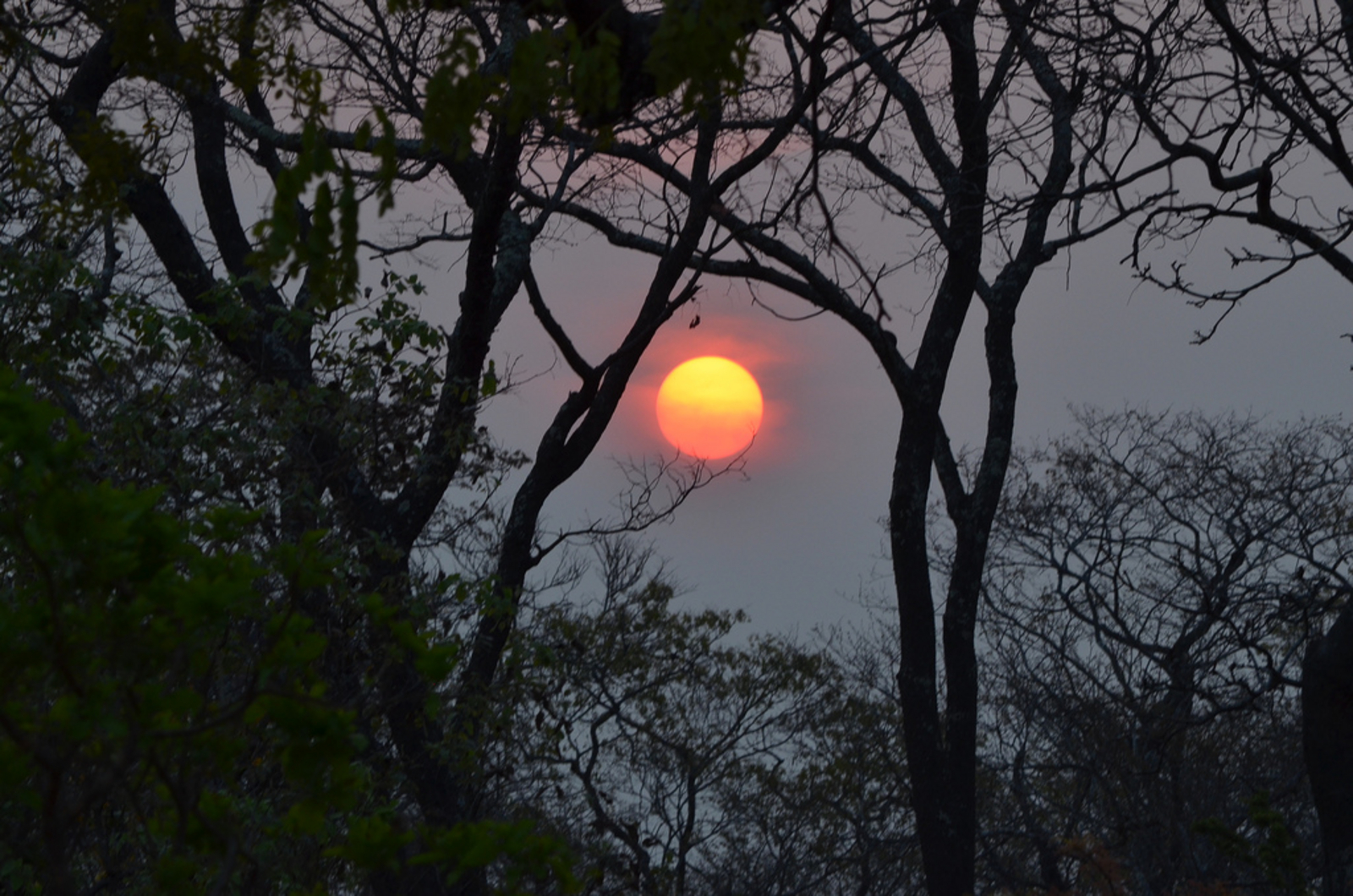 Leopard Lodge Leopard Lodge