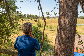 Losika Elephant Camp: Gast beobachtet Elefantenherde von Aussichtsplattform