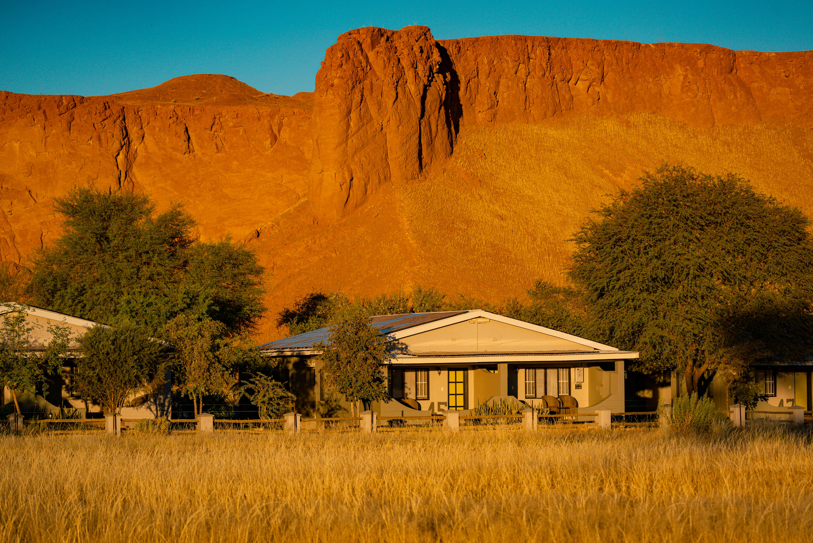 Namib Desert Lodge Namib Desert Lodge: Zimmerblock und Bäume