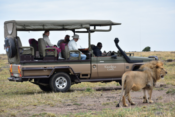 Naona Moru Camp: Game Drive