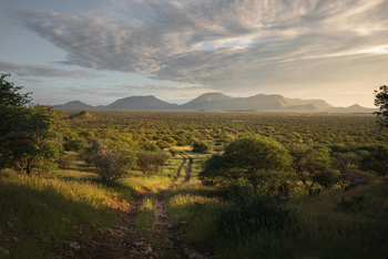 Old Traders Lodge: Landschaft