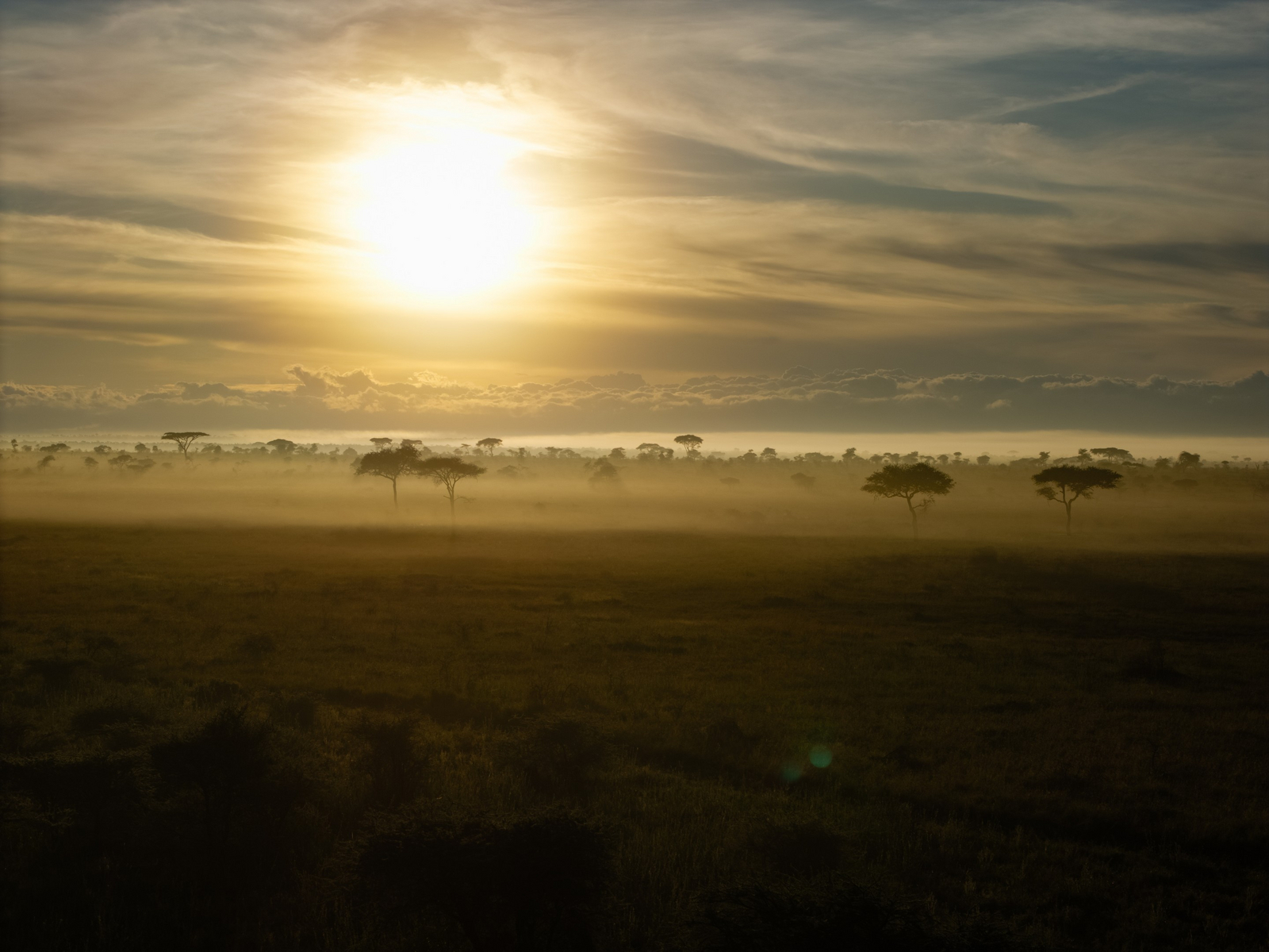Olmara Camp Olmara Camp: Sonne über dem Nebel