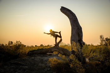 Sanctuary Chief's Camp Sanctuary Chief's Camp: Yoga mit Termiten